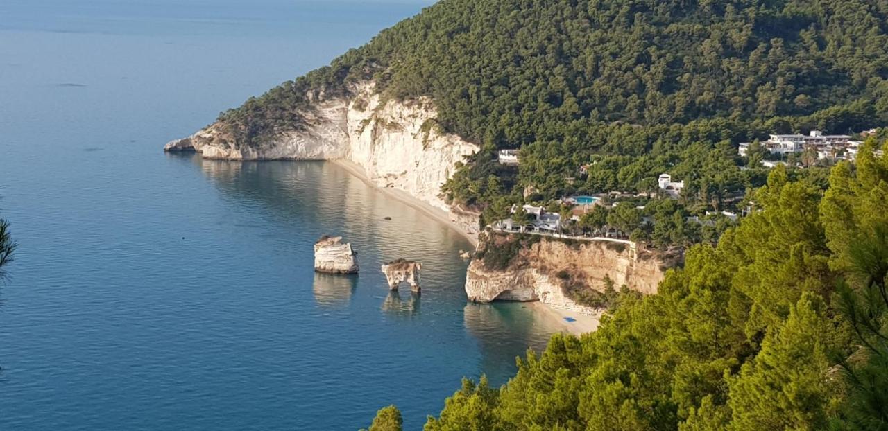 Villa Cala Della Pergola Βιέστε Εξωτερικό φωτογραφία