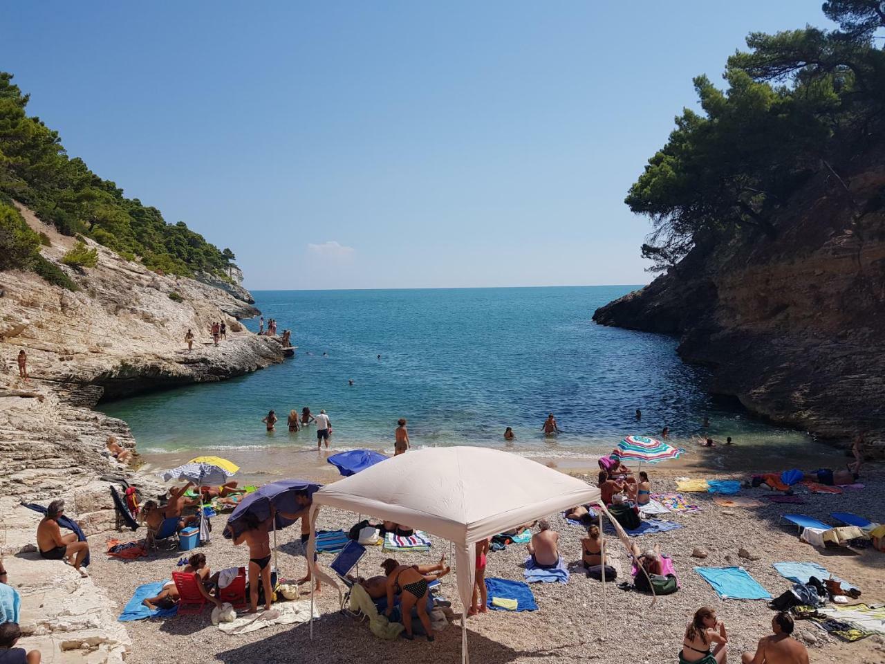 Villa Cala Della Pergola Βιέστε Εξωτερικό φωτογραφία