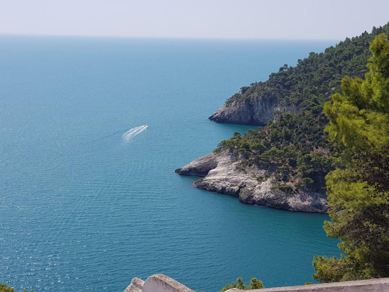 Villa Cala Della Pergola Βιέστε Εξωτερικό φωτογραφία