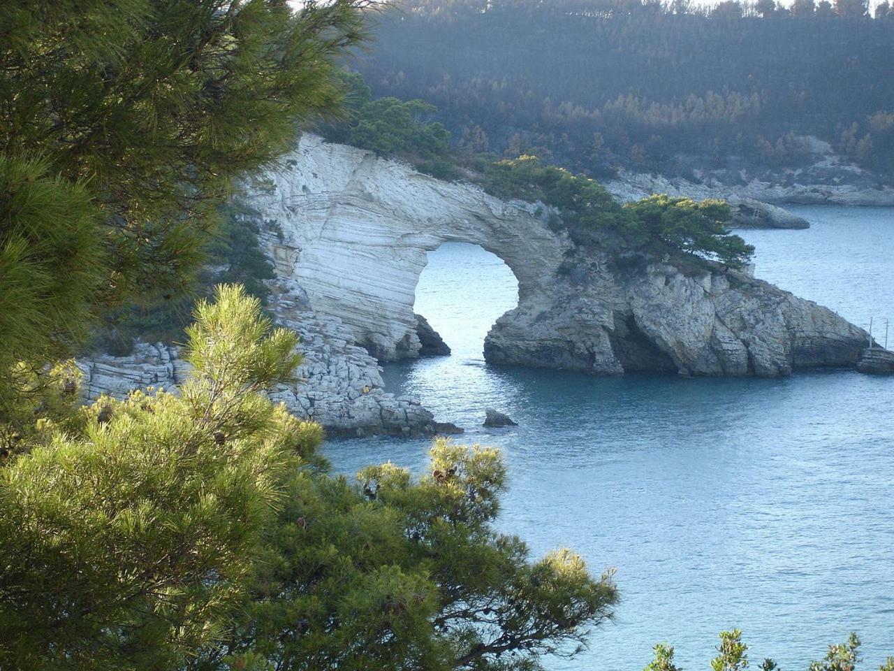 Villa Cala Della Pergola Βιέστε Εξωτερικό φωτογραφία